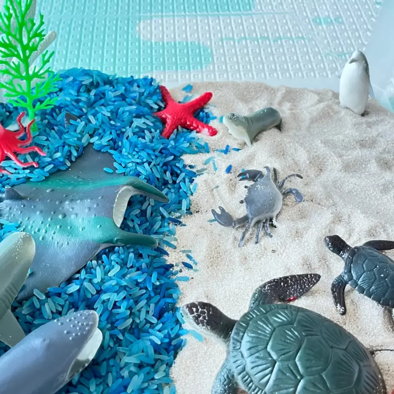 Sensory boxes