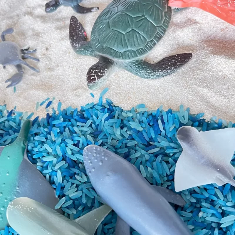 Sensory boxes
