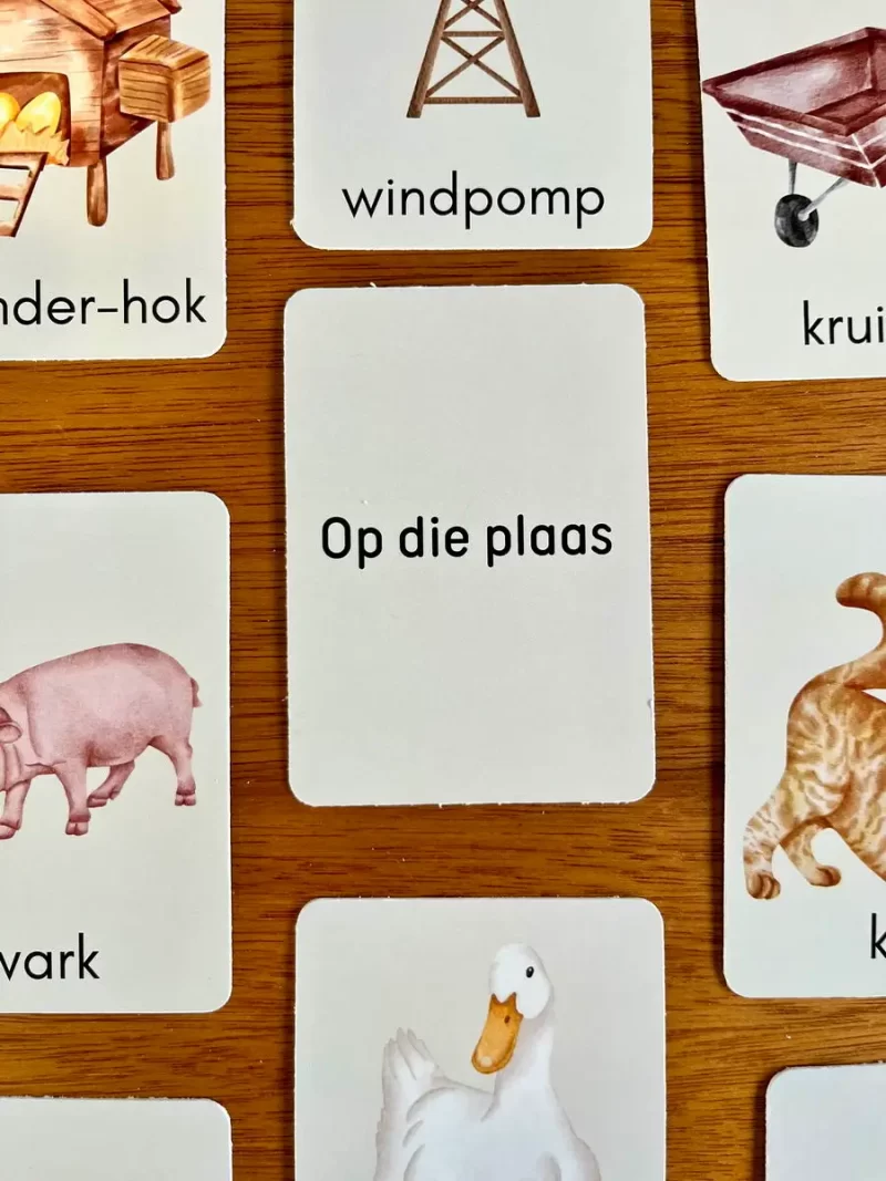 Educational Flash Cards