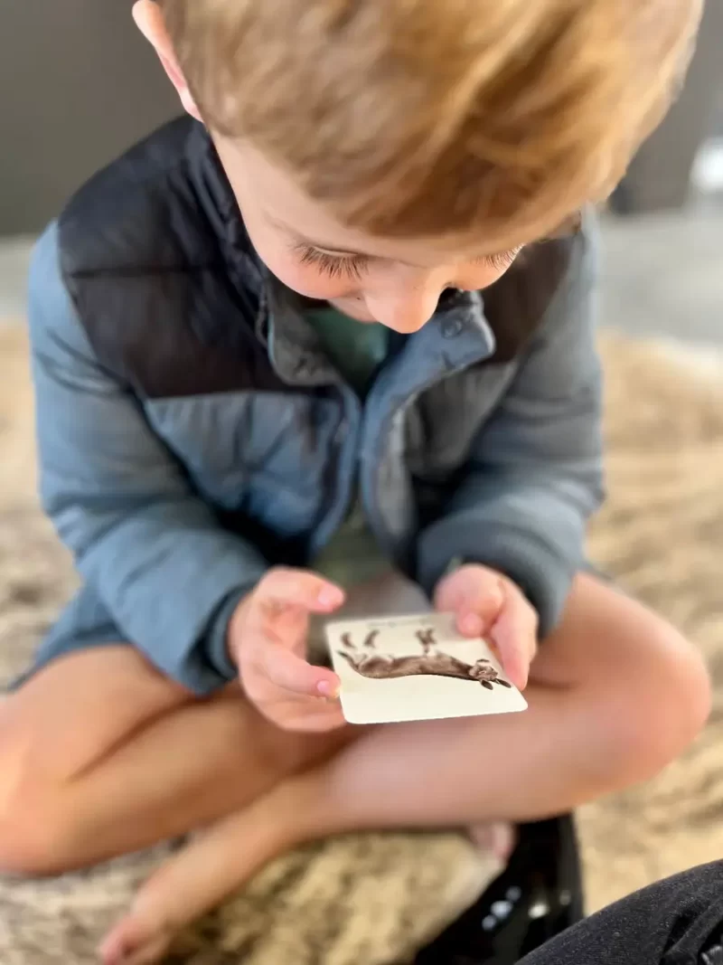 Educational Flash Cards