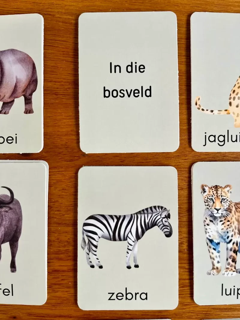 Educational Flash Cards