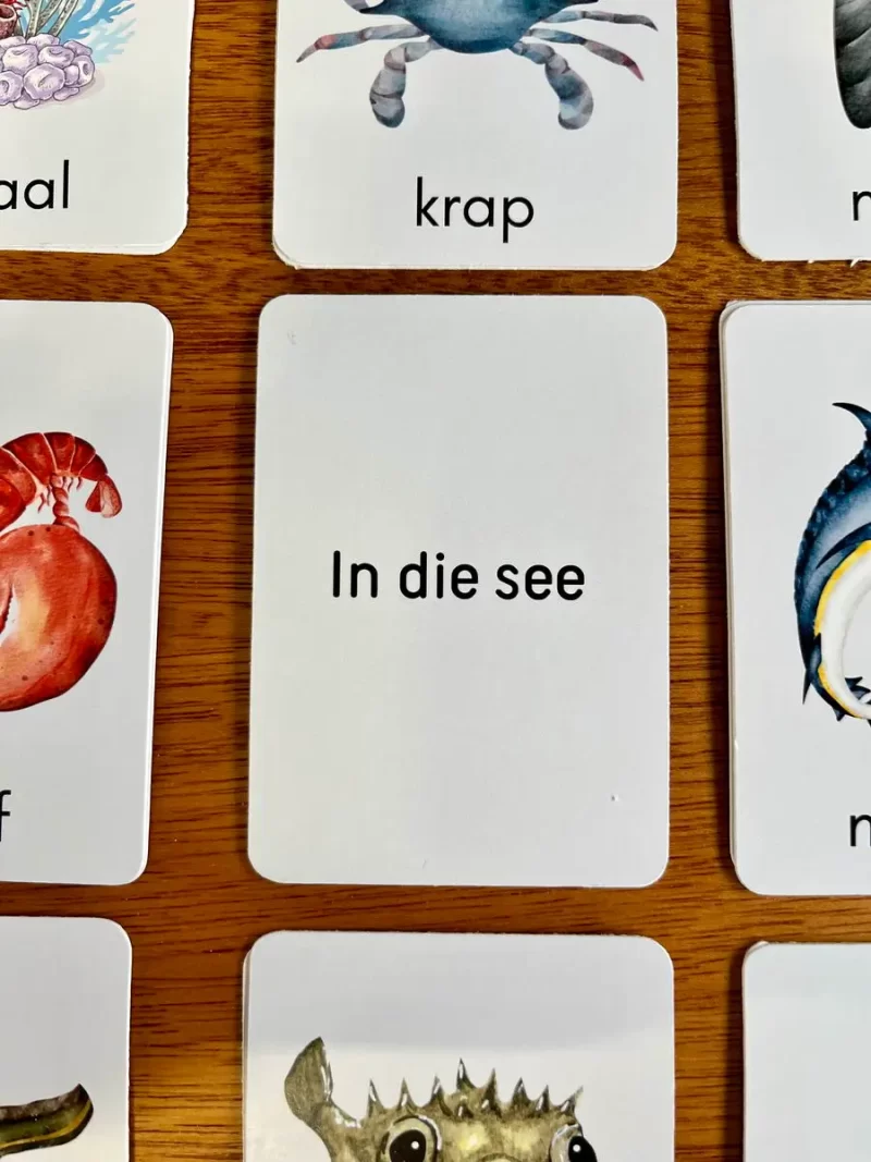 Educational Flash Cards